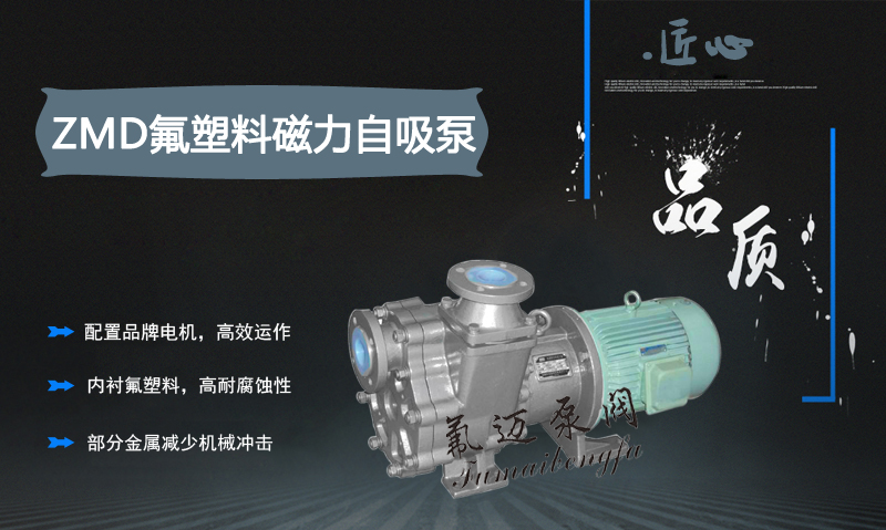 ZMD氟塑料磁力自吸泵(圖2)