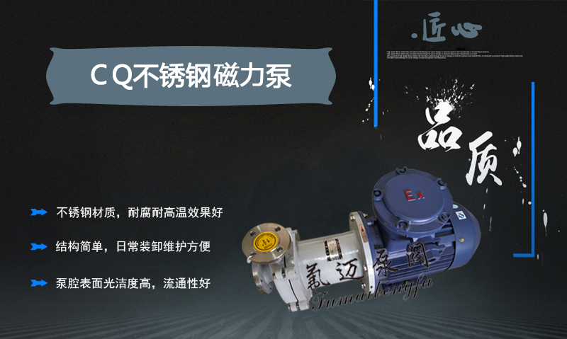 不銹鋼磁力泵(圖1)